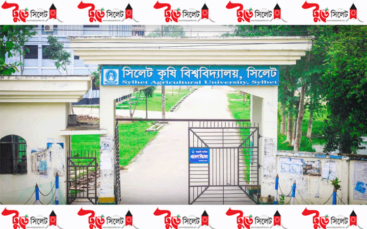 রাজনীতি নিষিদ্ধ করলো সিলেট কৃষি বিশ্ববিদ্যালয়