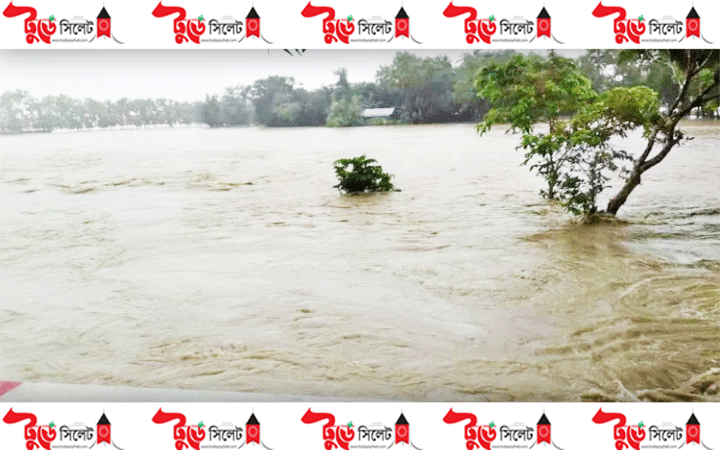 কমলগঞ্জে ধলাই নদীর পানি বিপদসীমার উপরে, বন্যার শঙ্কা