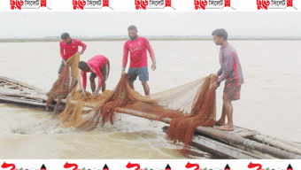 হবিগঞ্জে বর্ষায় মাছশূন্য হাওর, জেলেদের হাহাকার