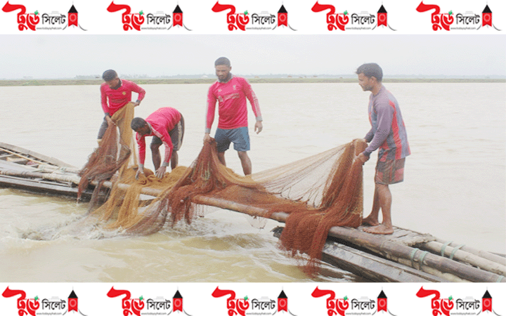 হবিগঞ্জে বর্ষায় মাছশূন্য হাওর, জেলেদের হাহাকার