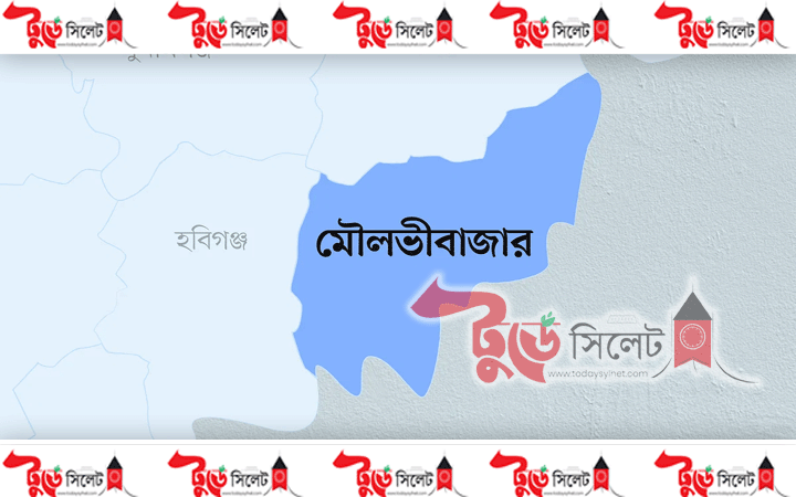 মৌলভীবাজারে আ.লীগের ১৫৫ নেতাকর্মীর বিরুদ্ধে মামলা