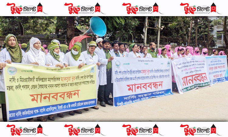 নার্সদের নিয়ে কটুক্তি: মহাপরিচালকের পদত্যাগের দাবিতে সিলেটে মানববন্ধন