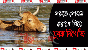 গরুকে গোসল করাতে গিয়ে যুবক নিখোঁজ