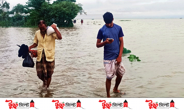 ফের বন্যা: তাহিরপুর ও মধ্যনগরের নিম্নাঞ্চল প্লাবিত