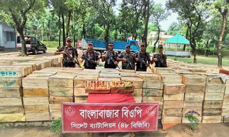 সুনামগঞ্জে সাড়ে ৬৩ লক্ষ টাকার ভারতীয় আপেল জব্দ