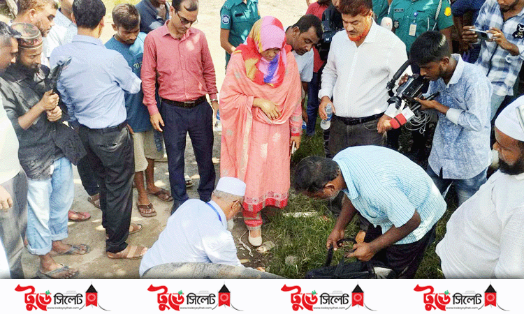 ডেঙ্গু প্রতিরোধে সিসিকের অভিযান, জরিমানা