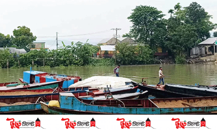 তাহিরপুরে চোরাই কয়লাবোঝাই নৌকাসহ আটক ৩