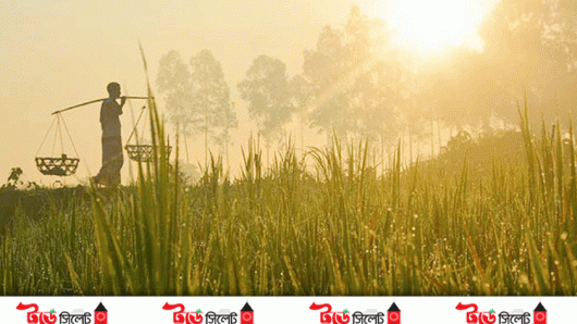 দেশের সর্বনিম্ন তাপমাত্রা সিলেটের মৌলভীবাজারে