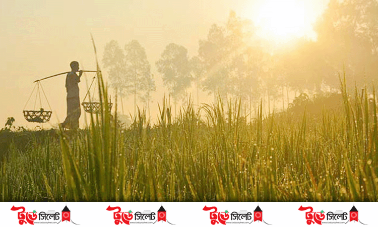 সিলেটে শীতের আগমন নিয়ে যে বার্তা