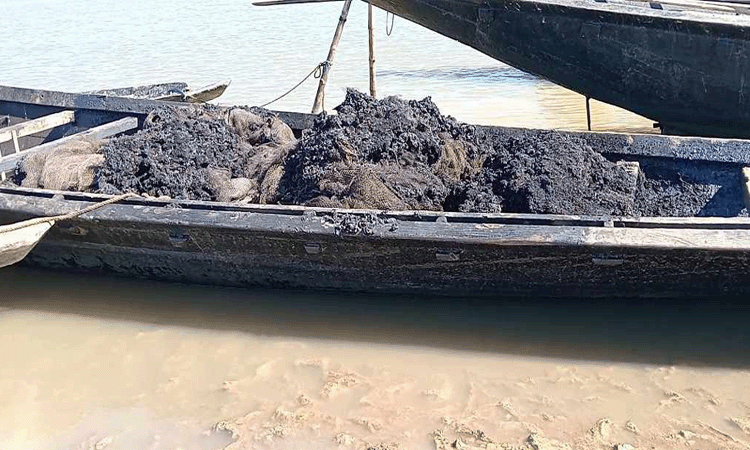 হবিগঞ্জে দুর্বৃত্তদের আগুনে পুড়ল ৫ লাখ টাকার জাল