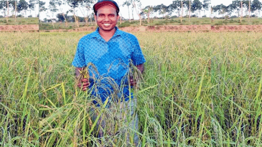 চায়ের দেশে কমলগঞ্জের মোহন রবিদাসের চমক