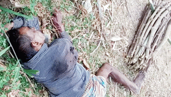 ভারত থেকে কাঠ সংগ্রহে গিয়ে বৃদ্ধের মৃত্যু