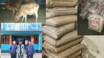 জৈন্তাপুরে থানা পুলিশের অভিযানে চিনি, চা-পাতা,গরু সহ আটক-১